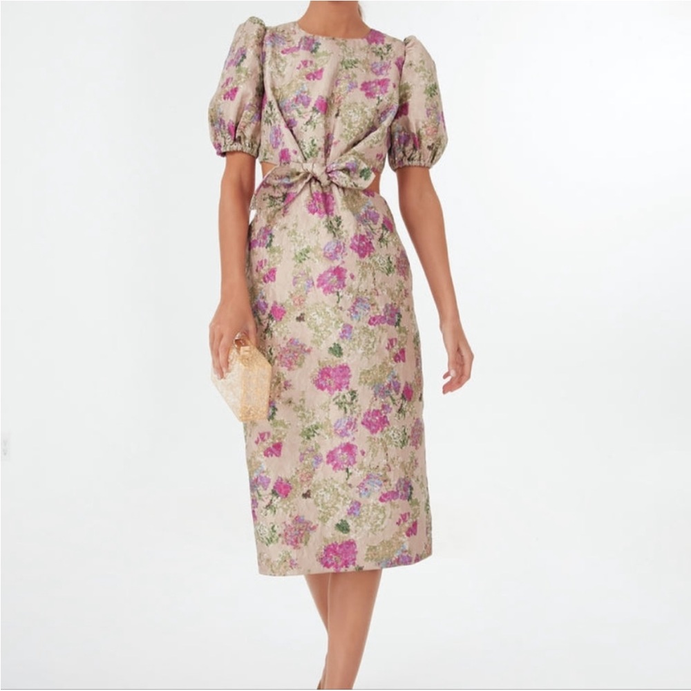 XL Tuckernuck Duchess Gracen Dress NWT